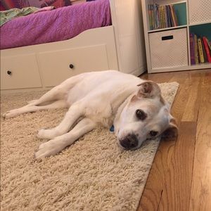 Meet your Posher, Sara